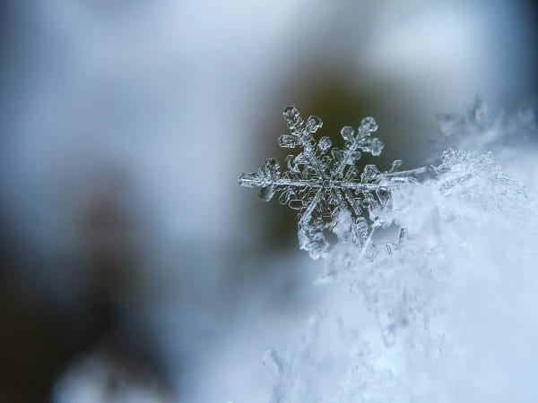 We're all snowflakes